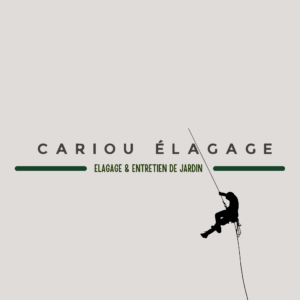 CARIOU ÉLAGAGE