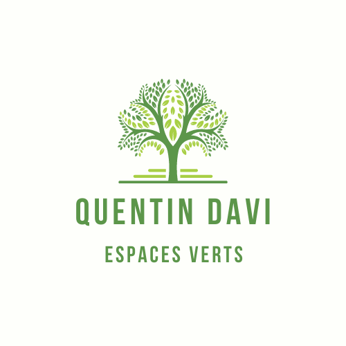 QUENTIN DAVI ESPACES VERTS