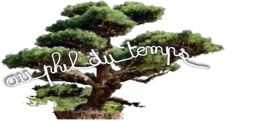 AU PHIL DU TEMPS 95520