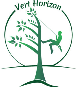 VERT HORIZON
