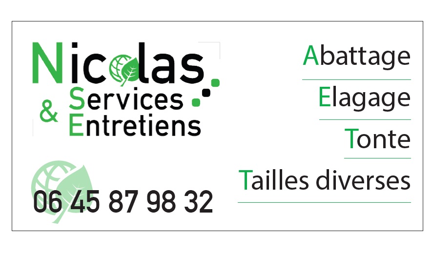 NSE - NICOLAS SERVICES ET ENTRETIENS