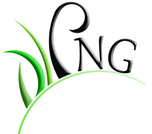 PAYSAGE NOUVELLE GENERATION - PNG