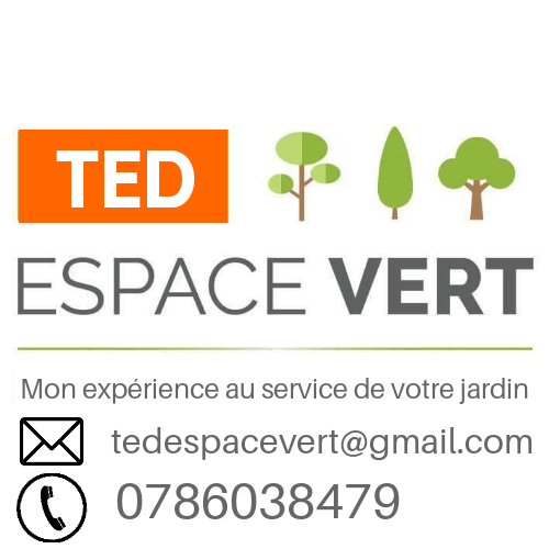 TED ESPACE VERT