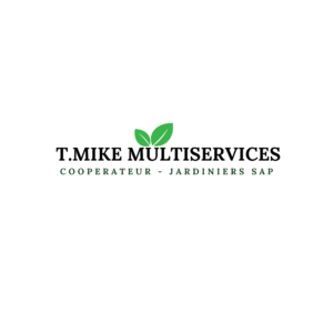 T.MIKE MULTISERVICES