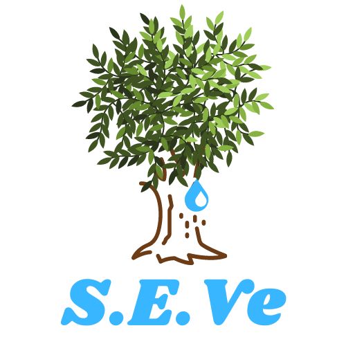 S.E.Ve