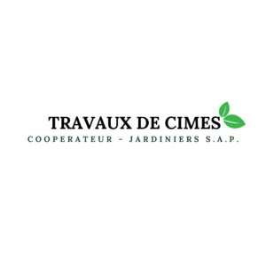 TRAVAUX DE CIMES