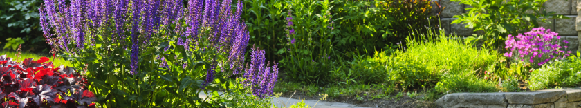 Préparer son jardin en 2025