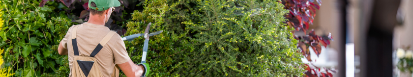 Préparer son jardin en 2025