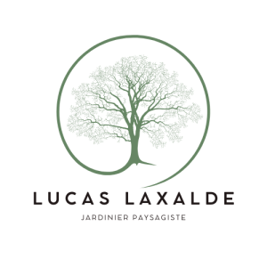 LUCAS LAXALDE