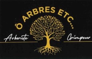 Ô ARBRES ETC