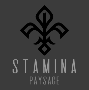 STAMINA PAYSAGE