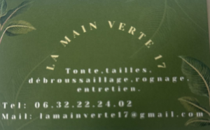 LA MAIN VERTE 17