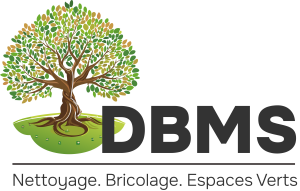 DBMS