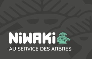 NIWAKI, AU SERVICE DES ARBRES