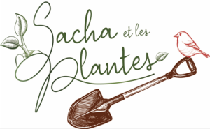 SACHA ET LES PLANTES