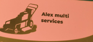 ALEX MULTISERVICES